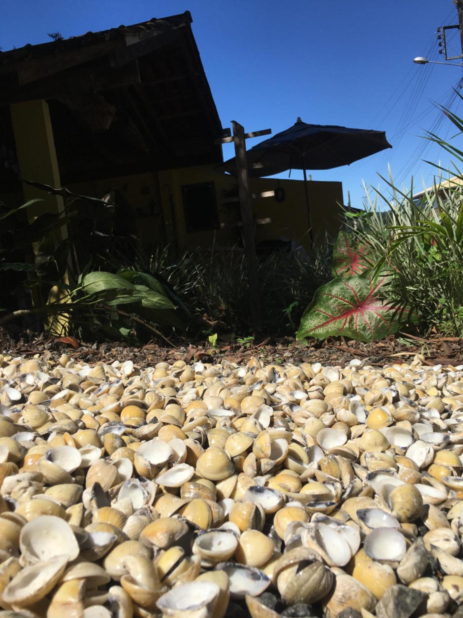Rancho Caicara Holiday home Sao Francisco do Sul